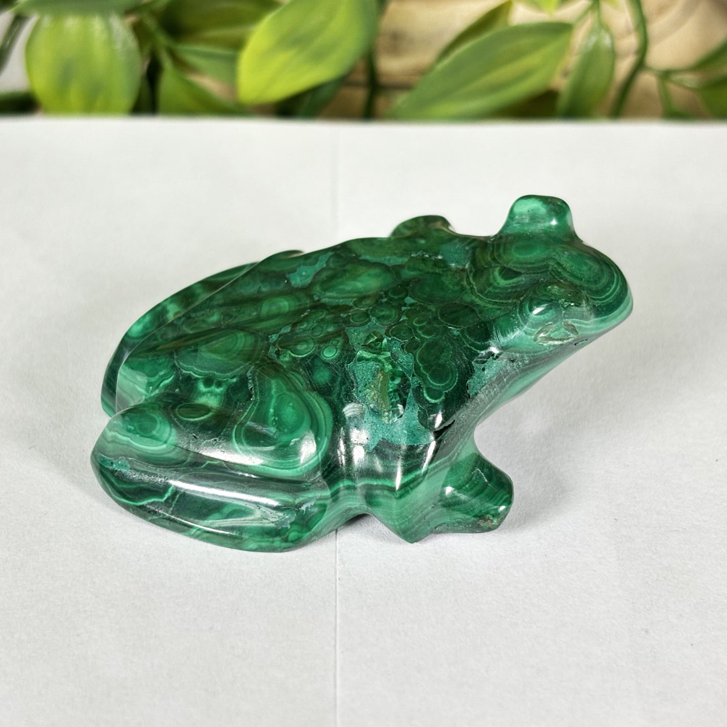 Malachite Crystal Frog Figurine - Gem Avenue Retail