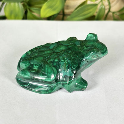 Malachite Crystal Frog Figurine - Gem Avenue Retail