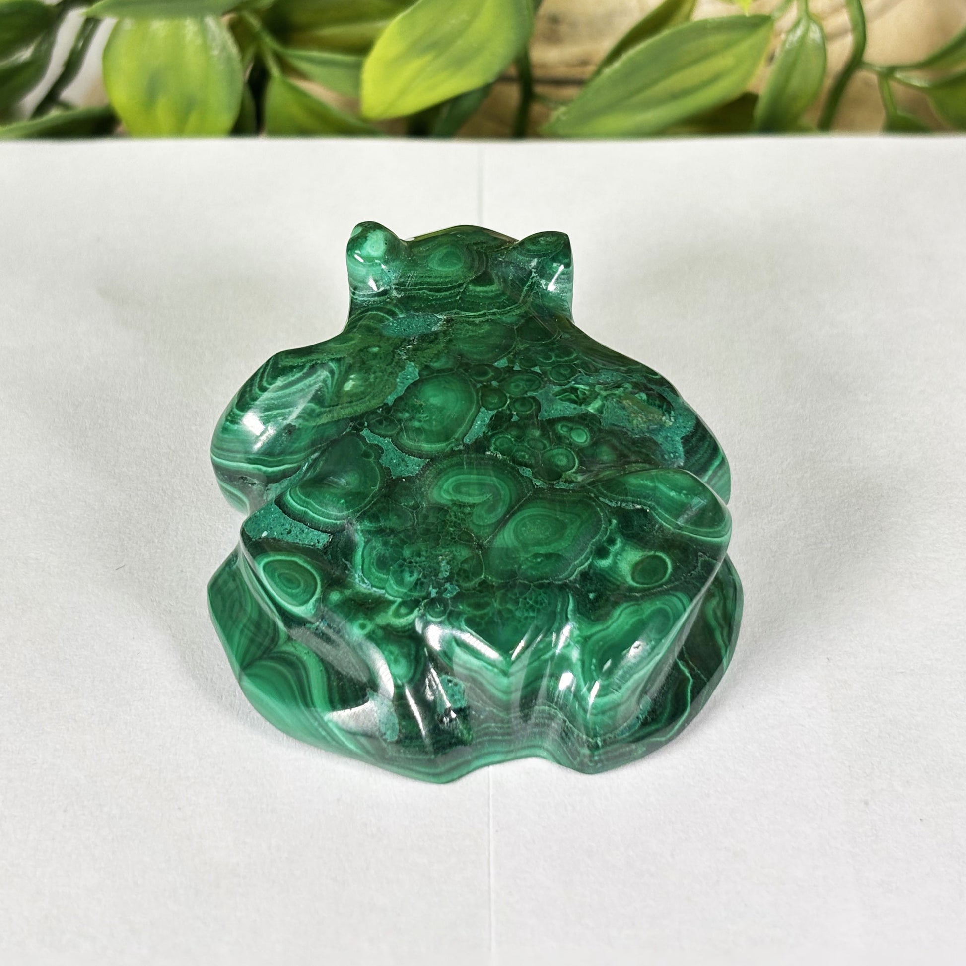 Malachite Crystal Frog Figurine - Gem Avenue Retail
