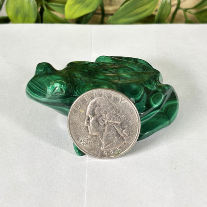 Malachite Crystal Frog Figurine - Gem Avenue Retail
