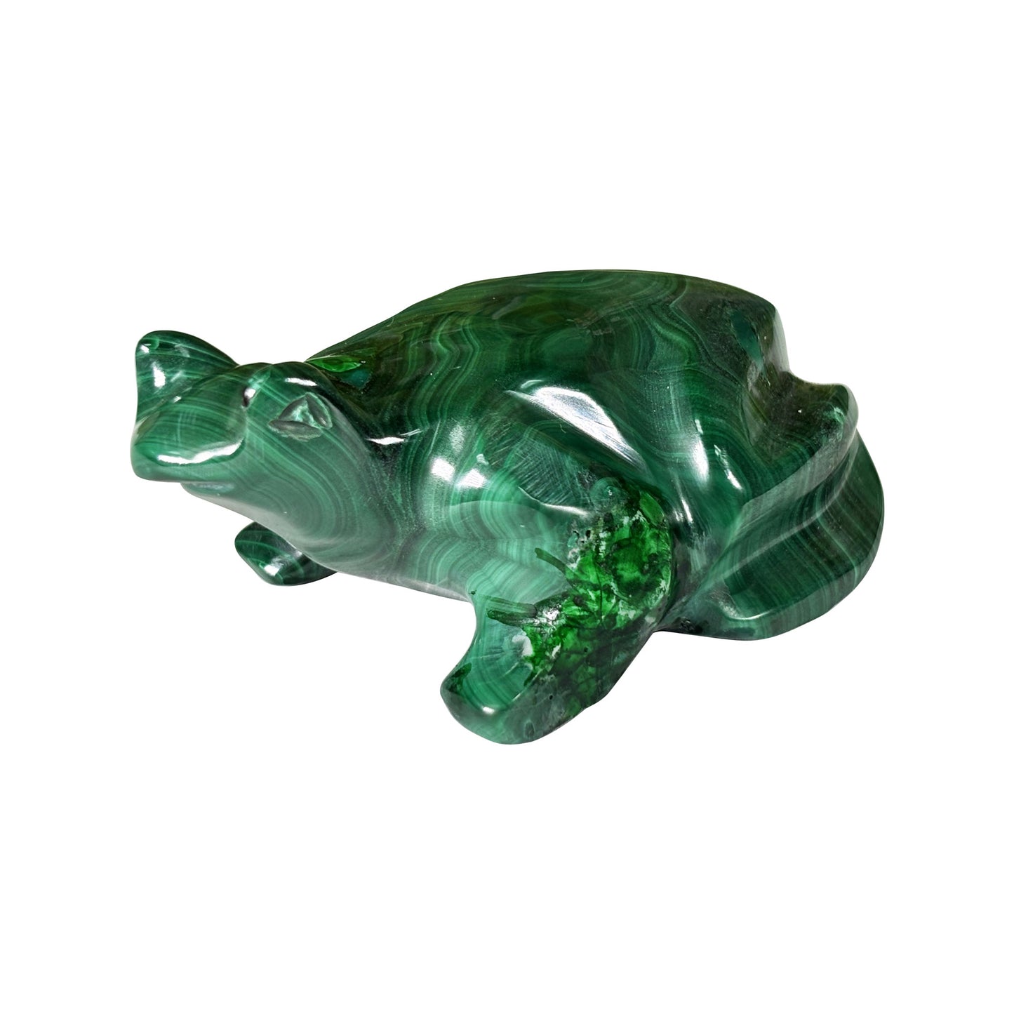 Malachite Crystal Frog Figurine - Gem Avenue Retail
