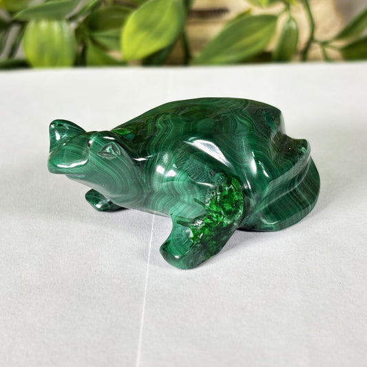 Malachite Crystal Frog Figurine - Gem Avenue Retail