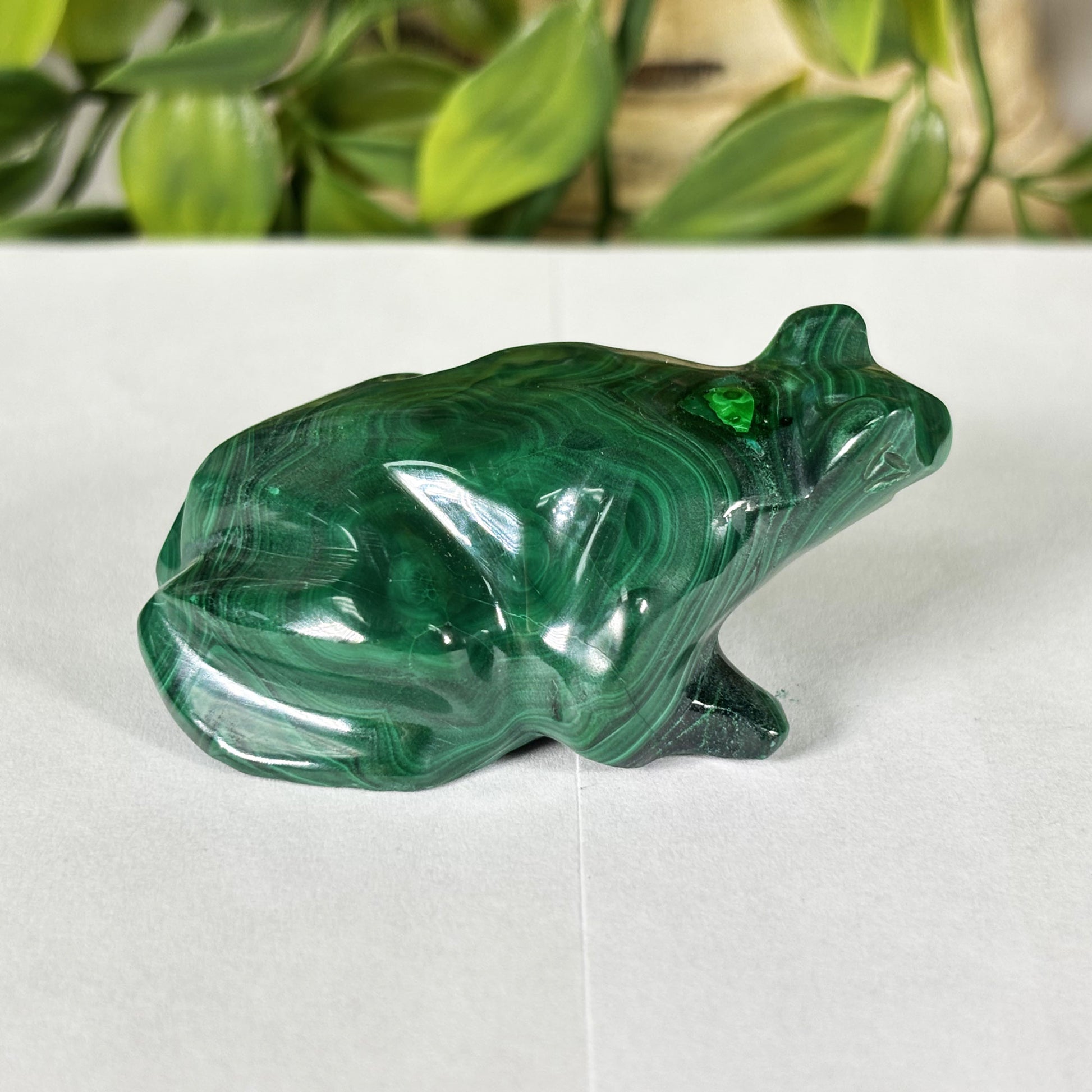 Malachite Crystal Frog Figurine - Gem Avenue Retail