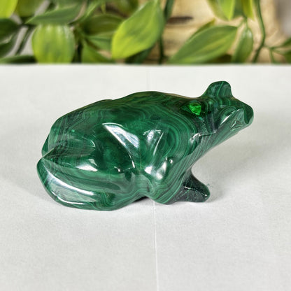 Malachite Crystal Frog Figurine - Gem Avenue Retail