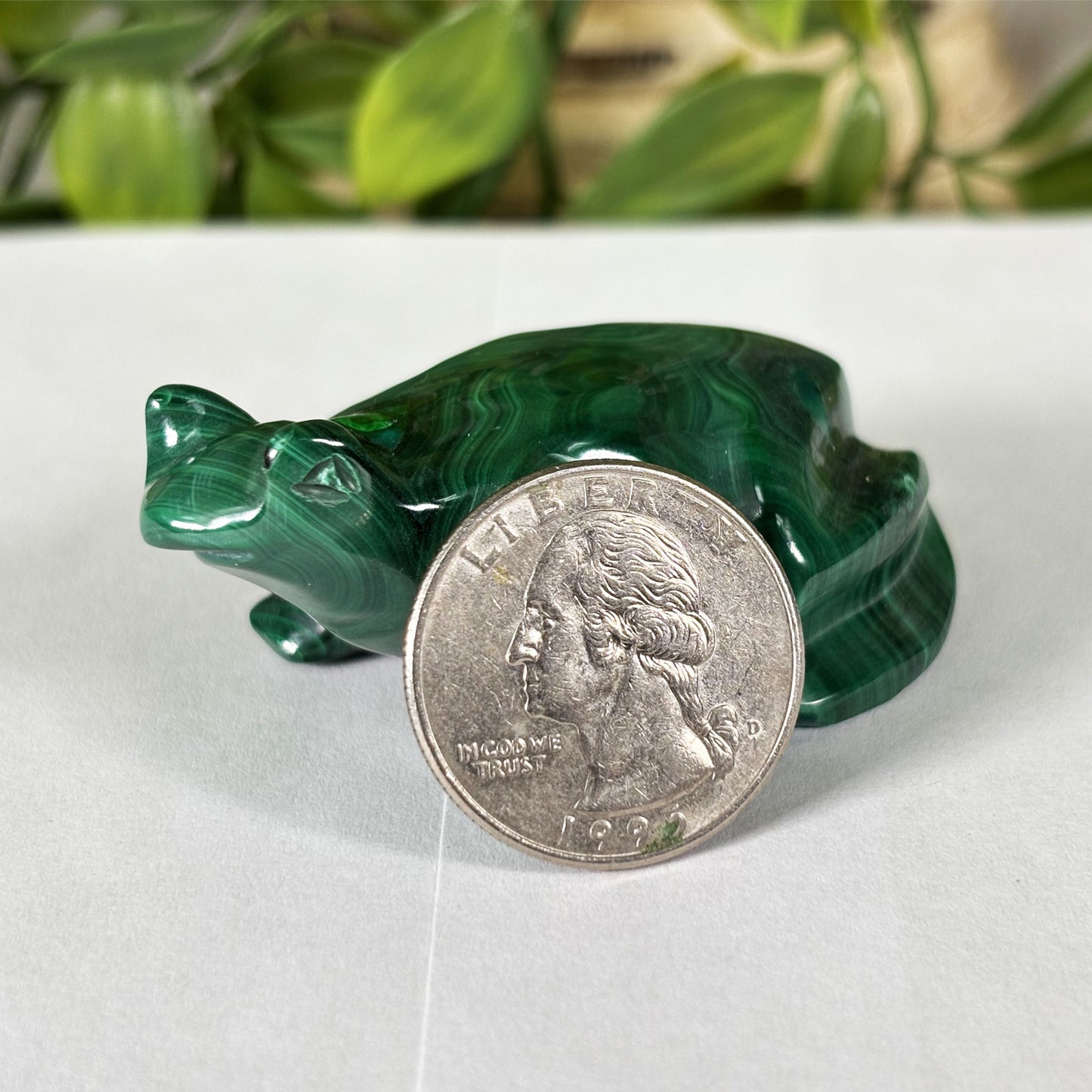 Malachite Crystal Frog Figurine - Gem Avenue Retail