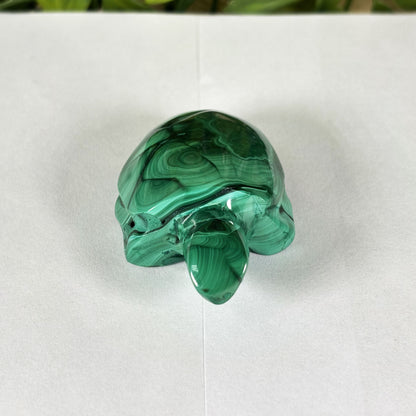 Malachite Crystal Turtle Figurine - Gem Avenue Retail