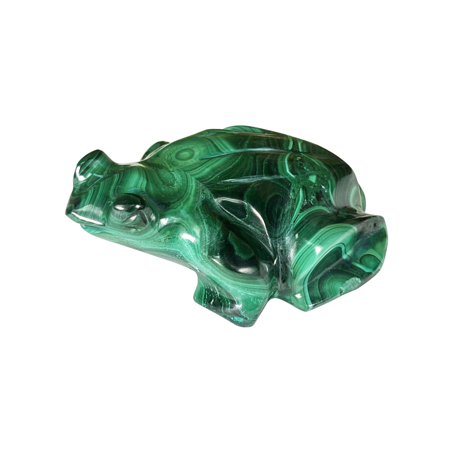 Malachite Crystal Frog Figurine - Gem Avenue Retail
