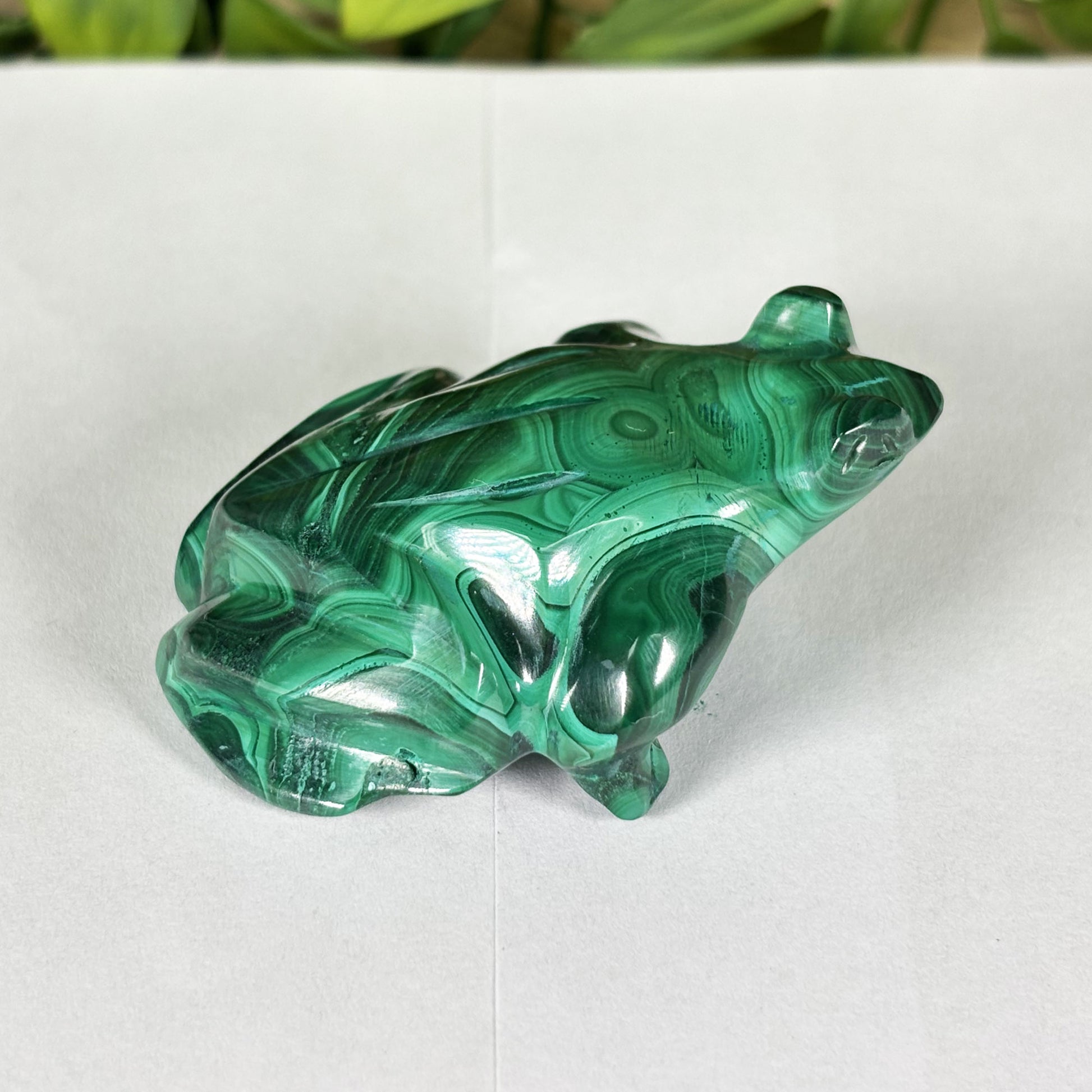 Malachite Crystal Frog Figurine - Gem Avenue Retail