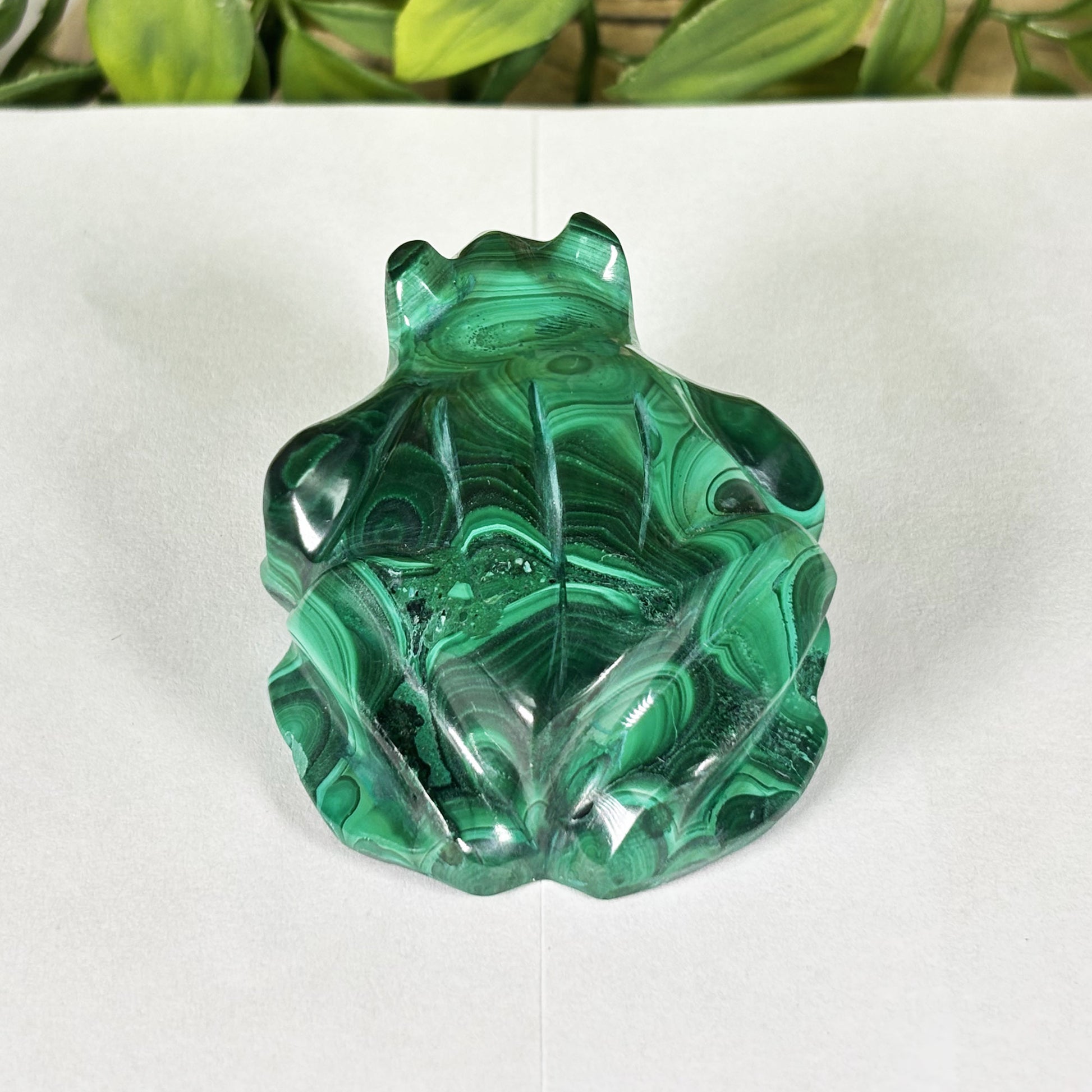 Malachite Crystal Frog Figurine - Gem Avenue Retail