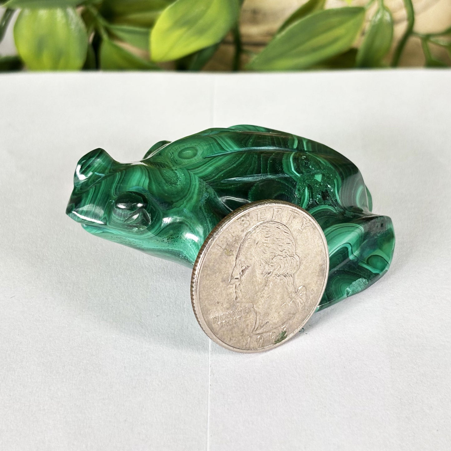 Malachite Crystal Frog Figurine - Gem Avenue Retail