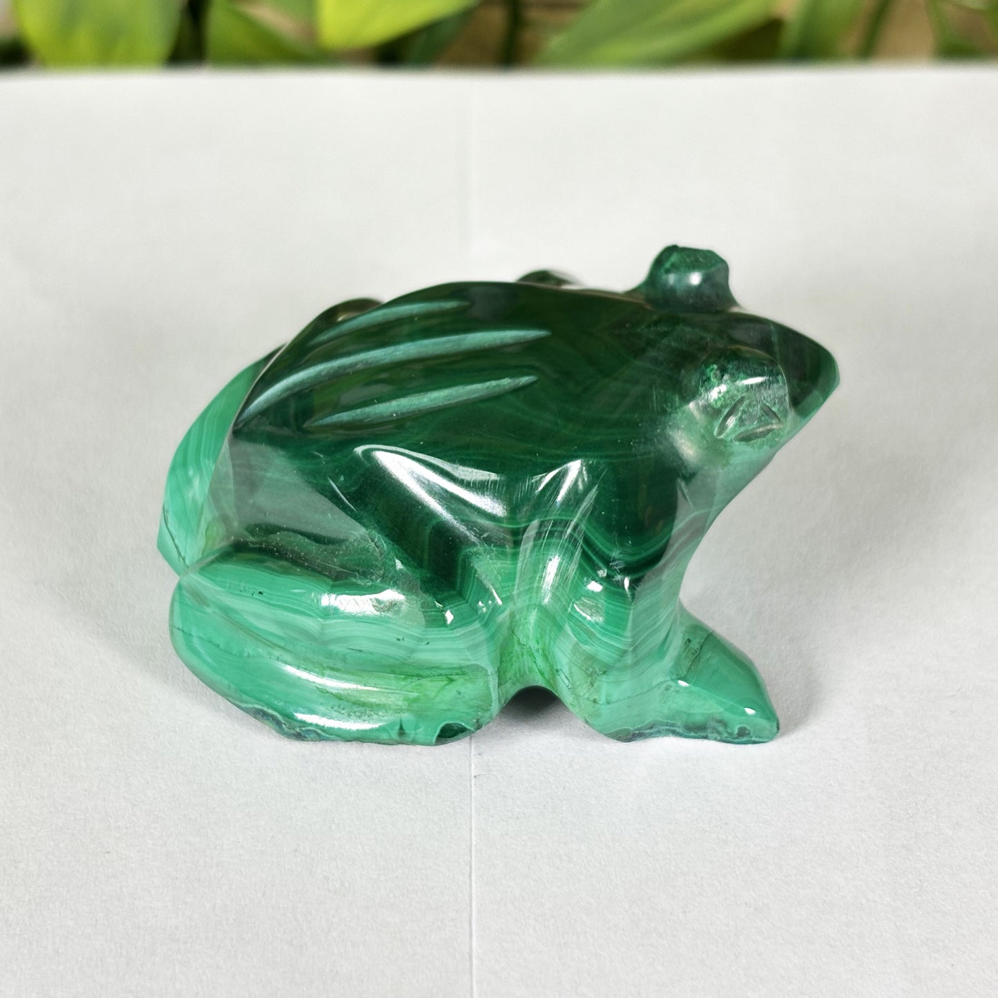Malachite Crystal Frog Figurine - Gem Avenue Retail