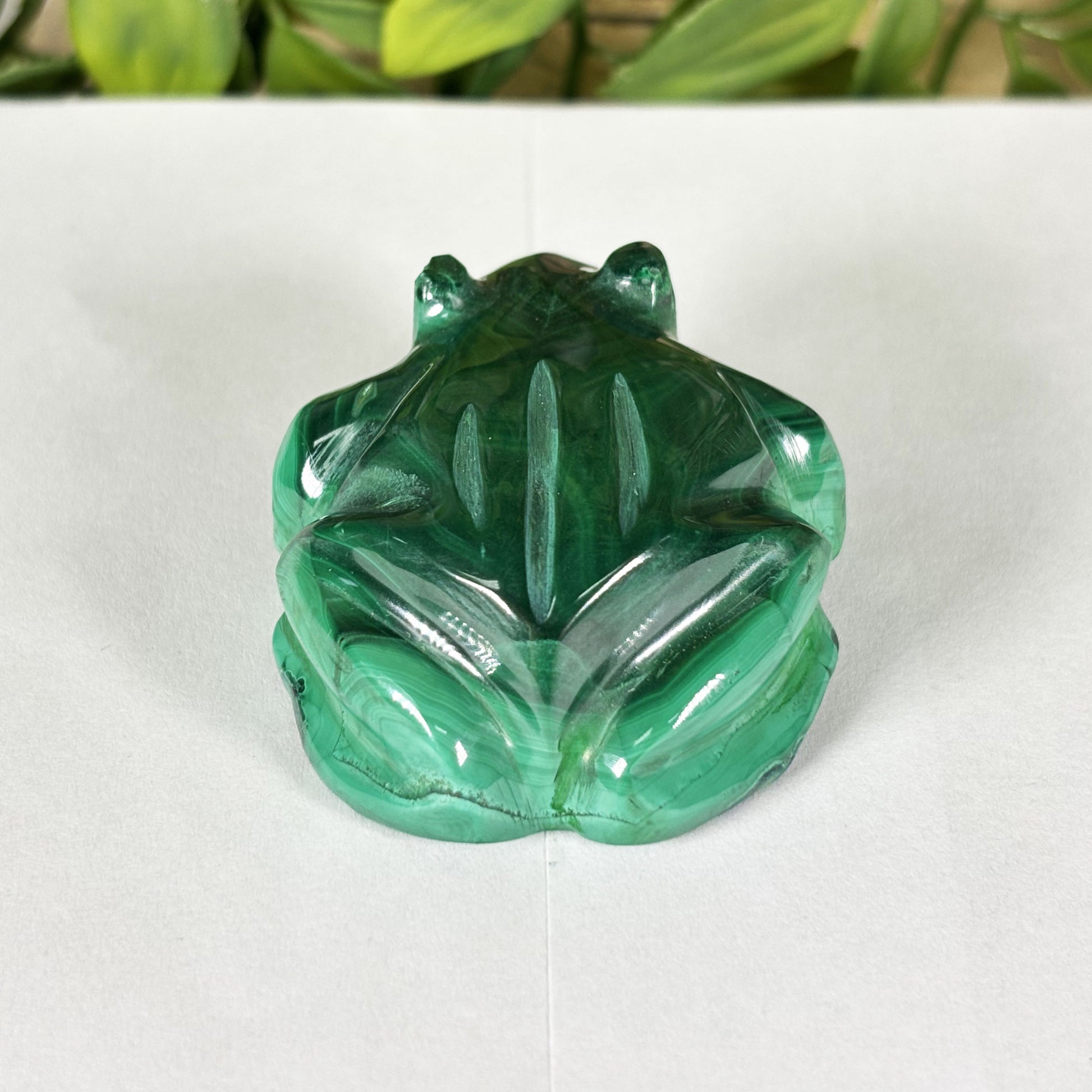 Malachite Crystal Frog Figurine - Gem Avenue Retail