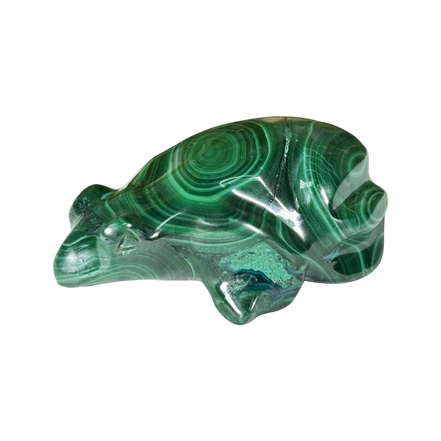 Malachite Crystal Frog Figurine - Gem Avenue Retail