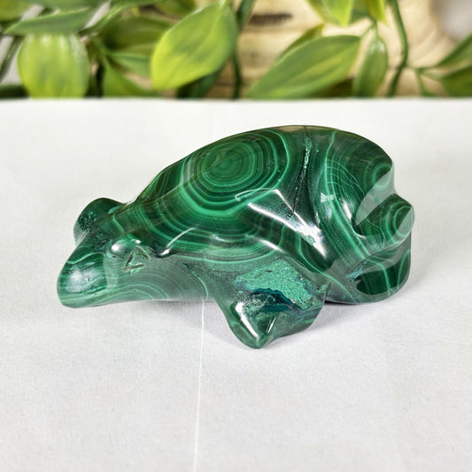 Malachite Crystal Frog Figurine - Gem Avenue Retail