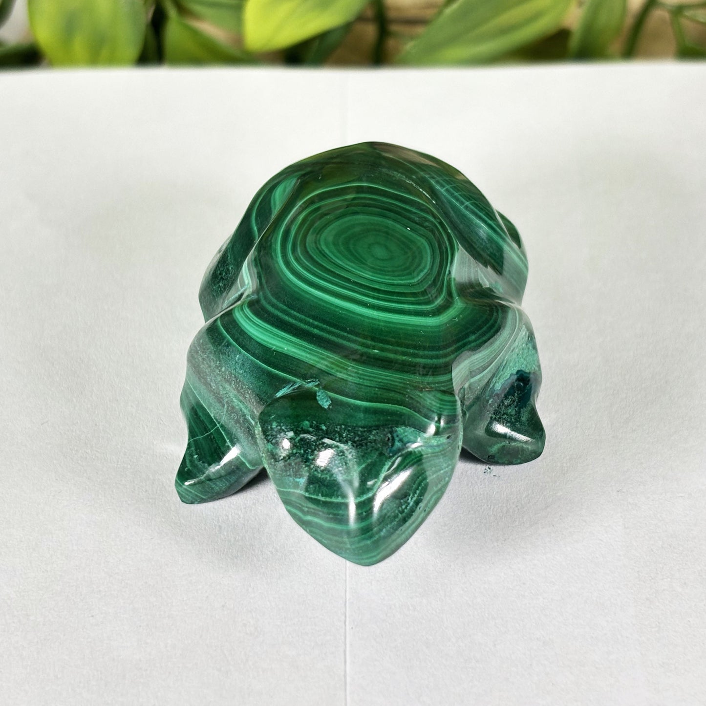 Malachite Crystal Frog Figurine - Gem Avenue Retail