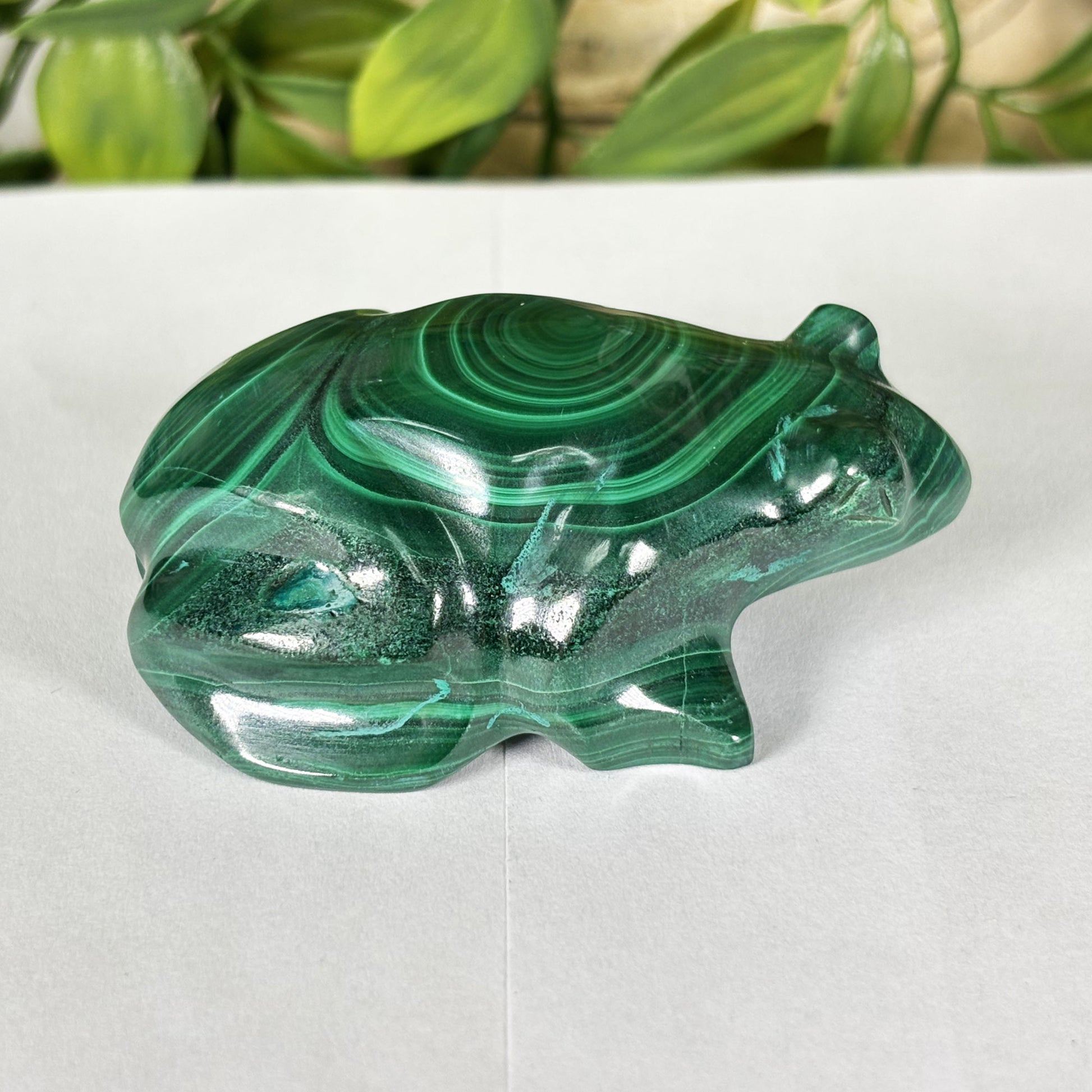 Malachite Crystal Frog Figurine - Gem Avenue Retail