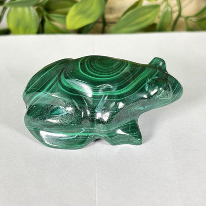 Malachite Crystal Frog Figurine - Gem Avenue Retail