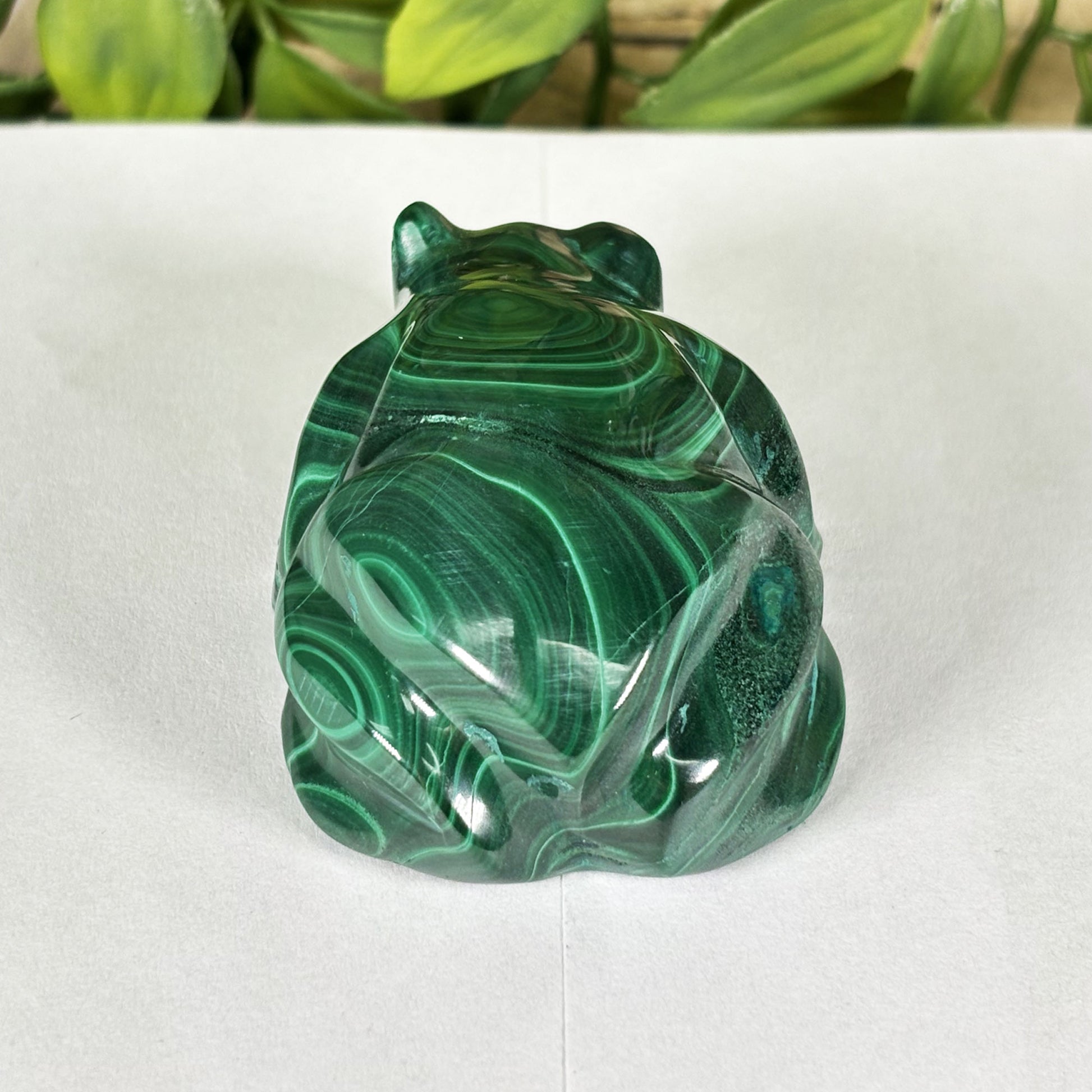 Malachite Crystal Frog Figurine - Gem Avenue Retail