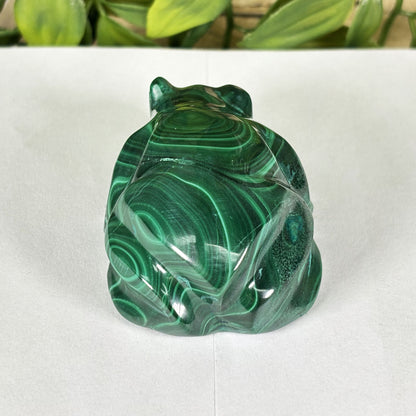 Malachite Crystal Frog Figurine - Gem Avenue Retail