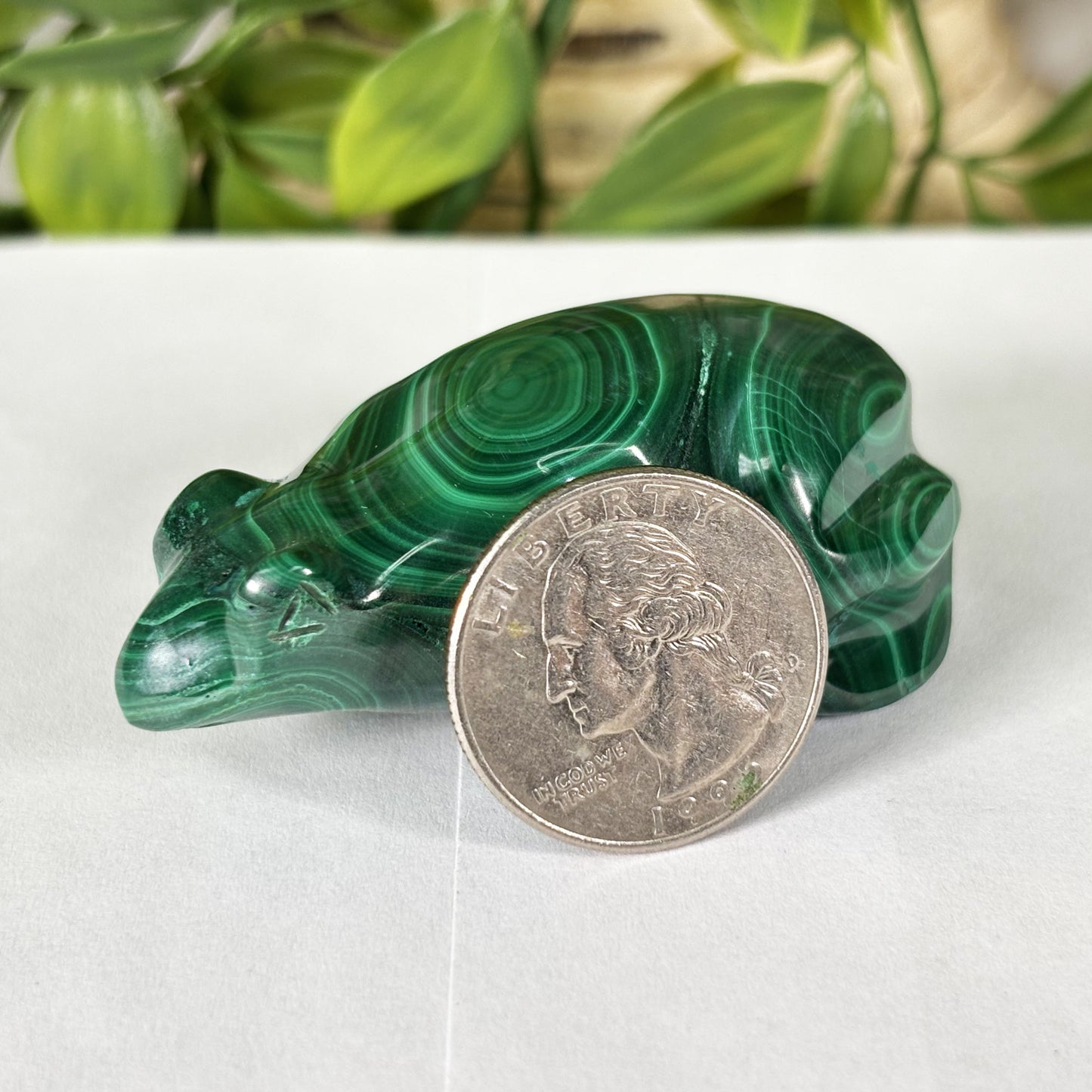 Malachite Crystal Frog Figurine - Gem Avenue Retail