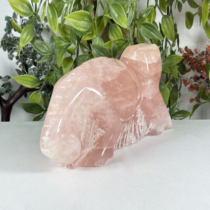 Rose Quartz Lizard Crystal Figurine - Gem Avenue Retail