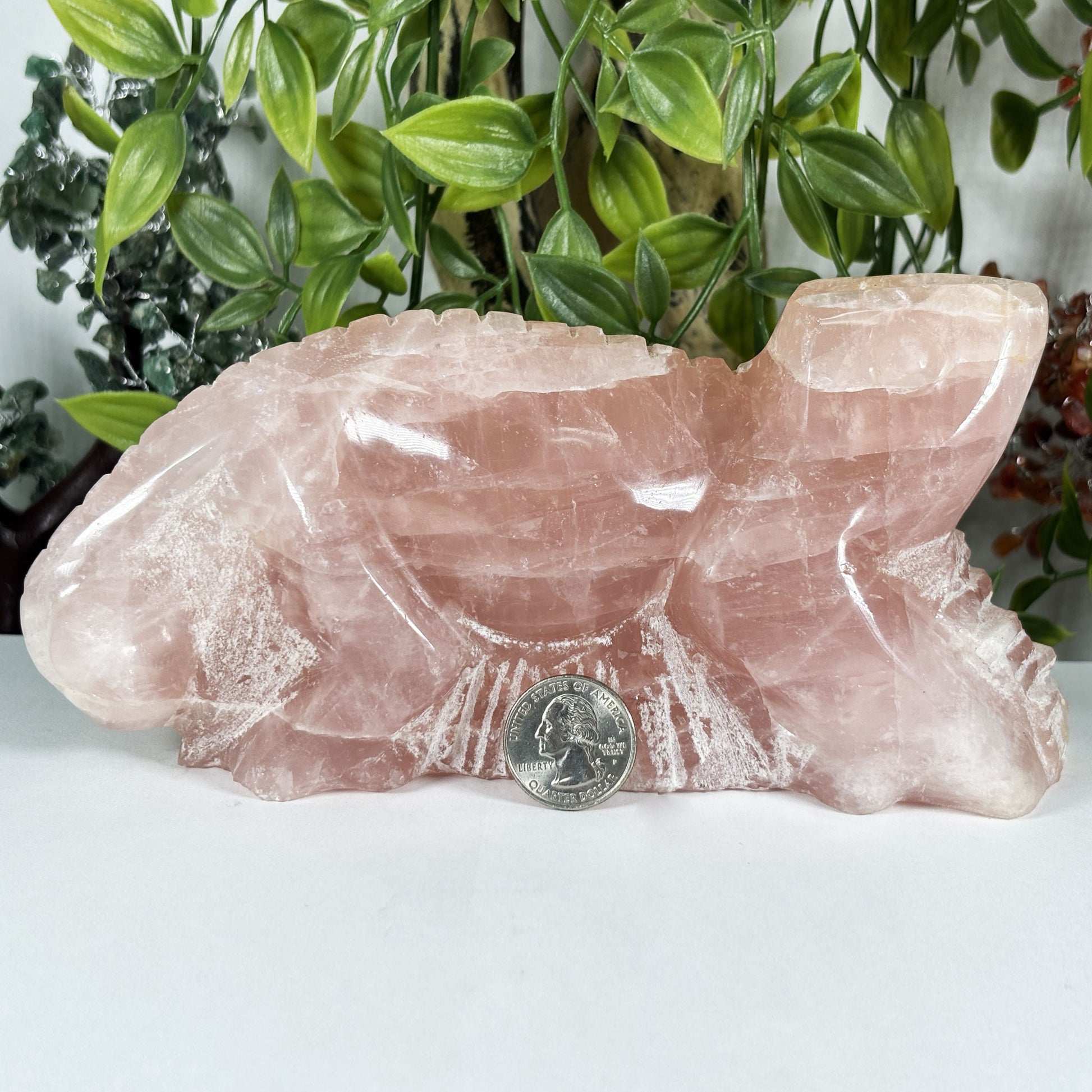 Rose Quartz Lizard Crystal Figurine - Gem Avenue Retail