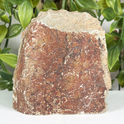 Serpentine Owl Figurine –  Gem Avenue 