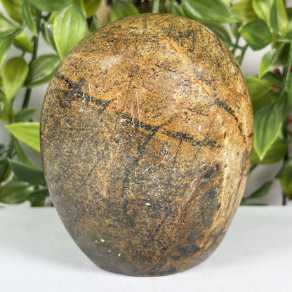 Serpentine Owl Figurine - Gem Avenue 