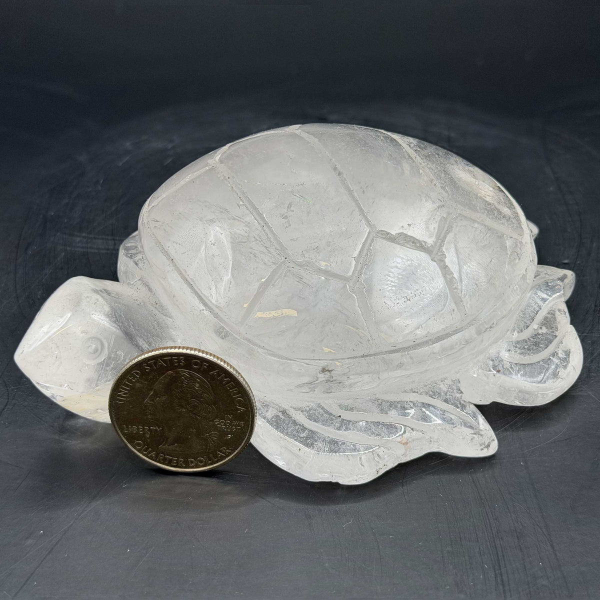 Clear Quartz Crystal Turtle Figurine - Gem Avenue Ratail