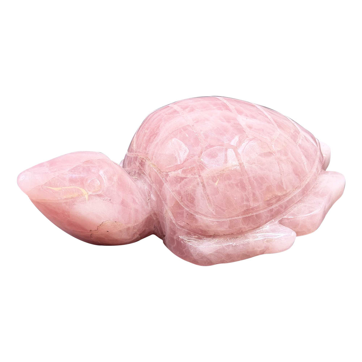 Rose Quartz Crystal Turtle Figurine - Gem Avenue Retail