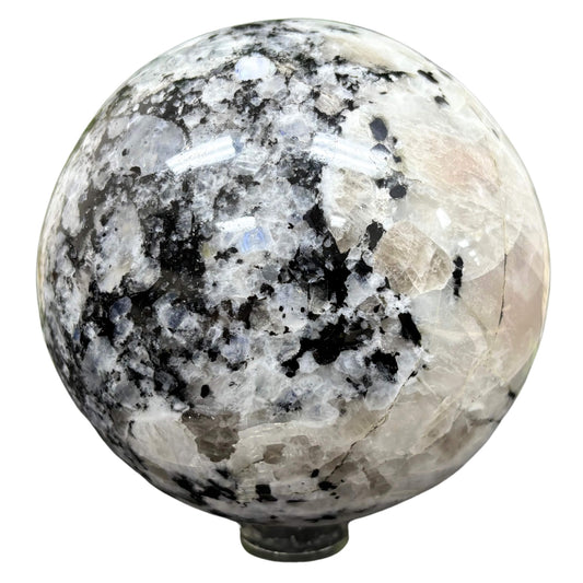 4.5" Rainbow Moonstone Sphere - RBL333