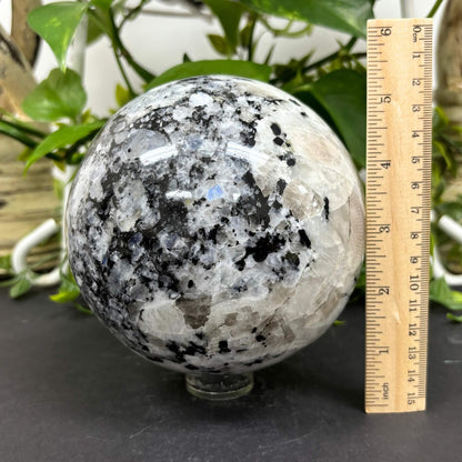 4.5" Rainbow Moonstone Sphere - RBL333
