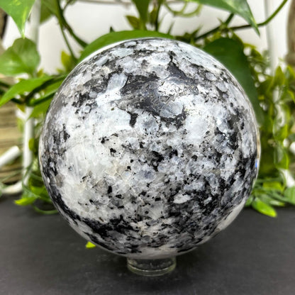 4.5" Rainbow Moonstone Sphere - RBL333