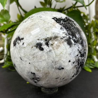 4.5" Rainbow Moonstone Sphere - RBL333