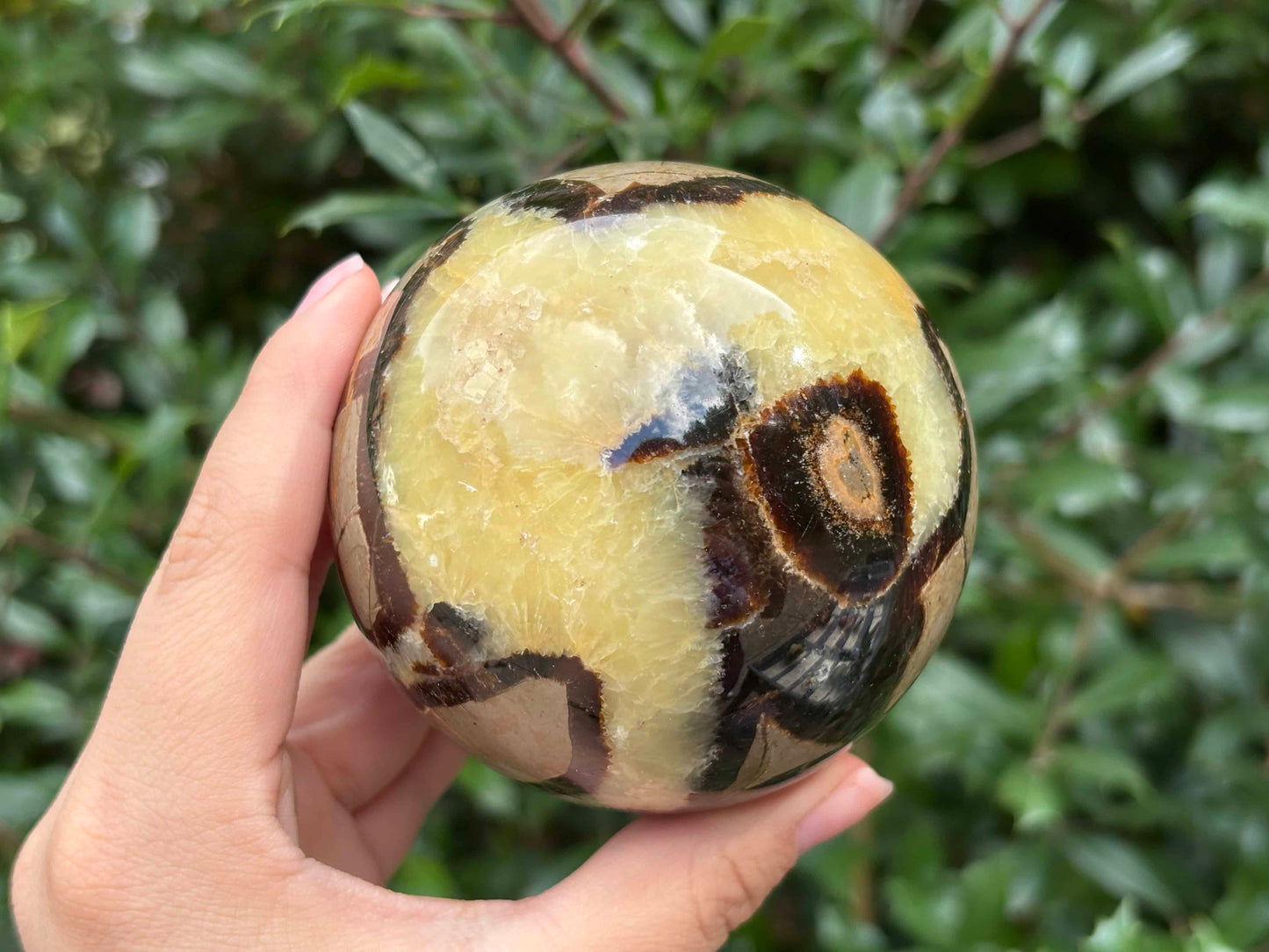 Natural polished Septarian sphere decor, unique dragon stone crystal ball for home, office, meditation, and healing energy - RBL343
