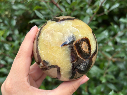 Natural polished Septarian sphere decor, unique dragon stone crystal ball for home, office, meditation, and healing energy - RBL343