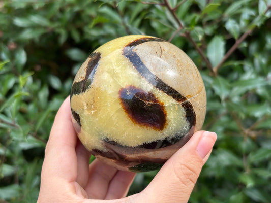 Natural polished Septarian sphere, a stunning decor piece and energy stone for collectors, healers, and crystal enthusiasts - RBL344