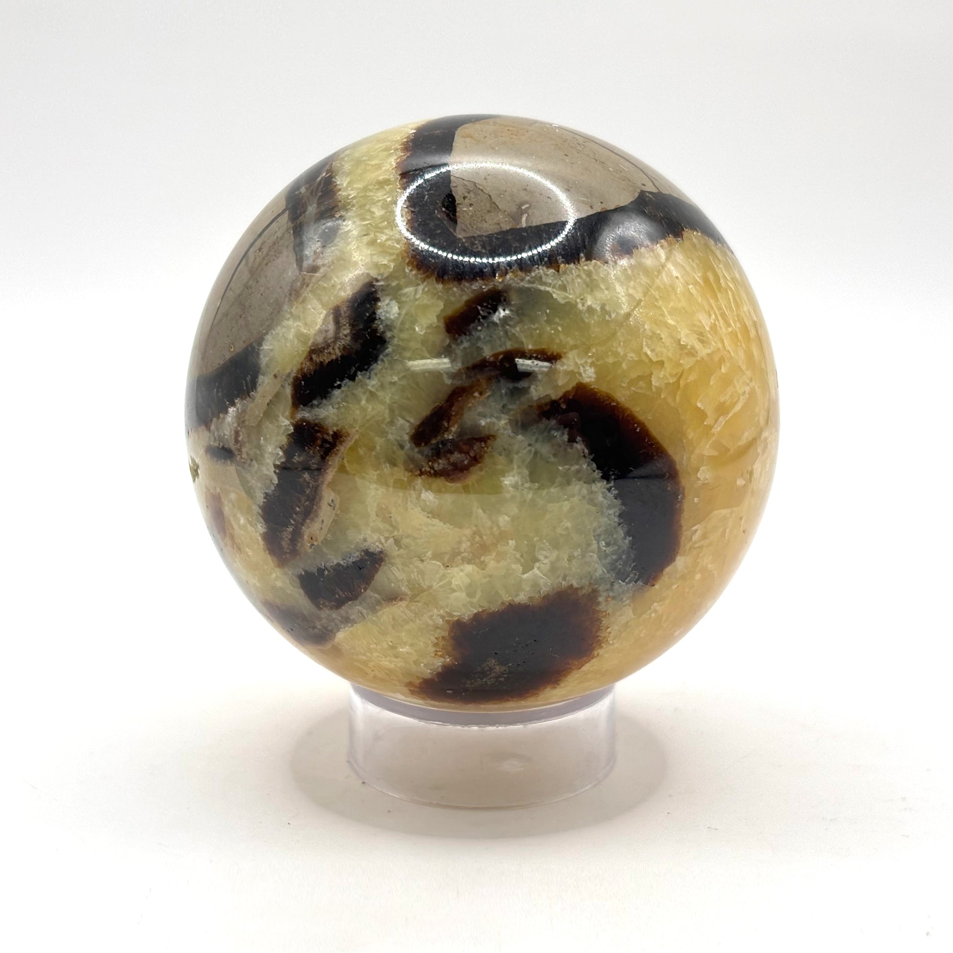 Natural polished Septarian sphere - Gem Avenue Retail