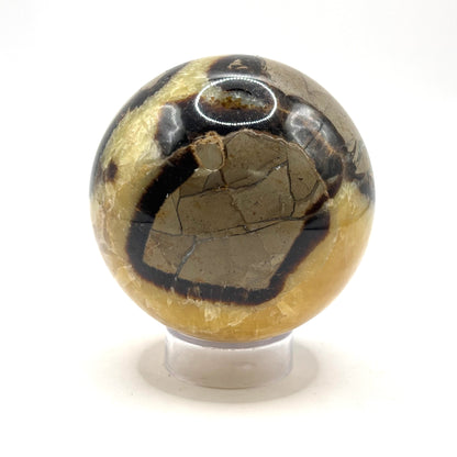 Natural polished Septarian sphere - Gem Avenue Retail