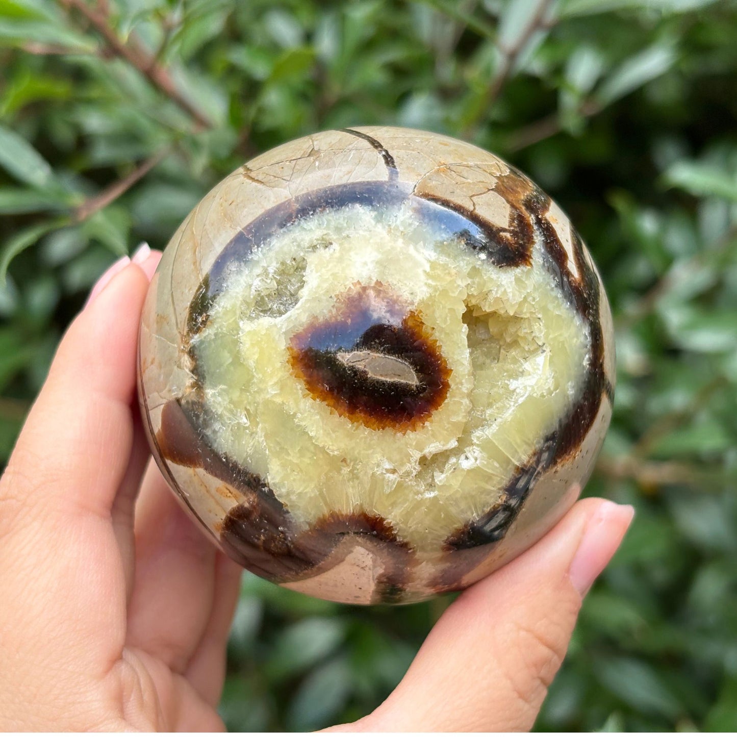 Natural Polished Septarian Sphere - Gem Avenue