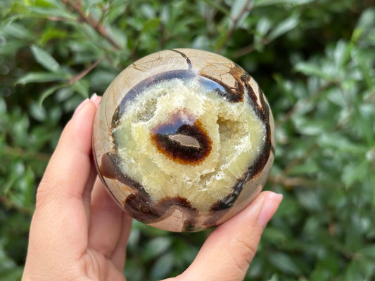 Natural Polished Septarian Sphere Dragon Stone Crystal Ball for Healing, Meditation & Home Decor - RBL346