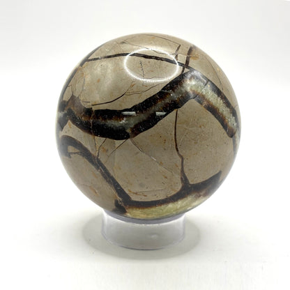 Natural Polished Septarian Sphere - Gem Avenue