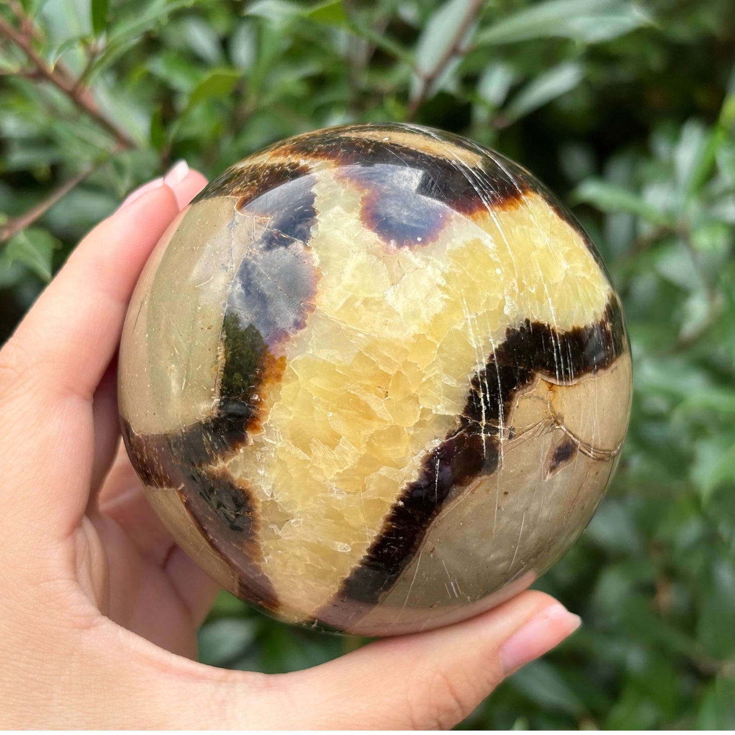 Natural polished Septarian sphere - Gem Avenue Retail