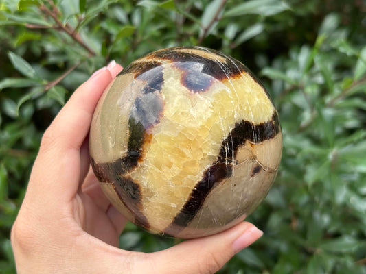 Natural polished Septarian sphere a dragon stone crystal for home decor, meditation, healing, and positive energy - RBL347