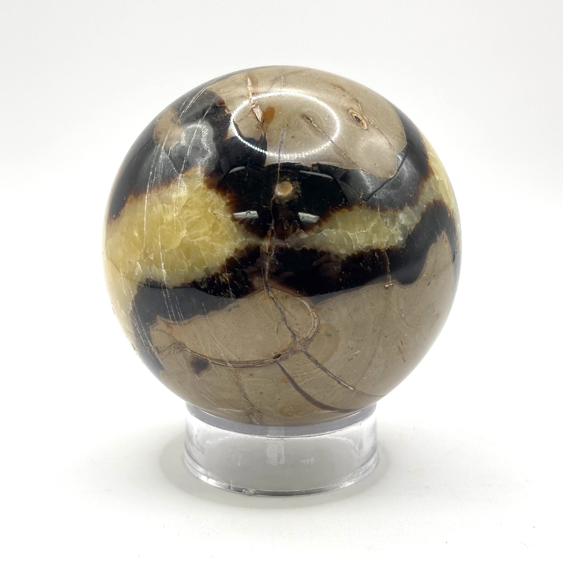 Natural polished Septarian sphere - Gem Avenue Retail