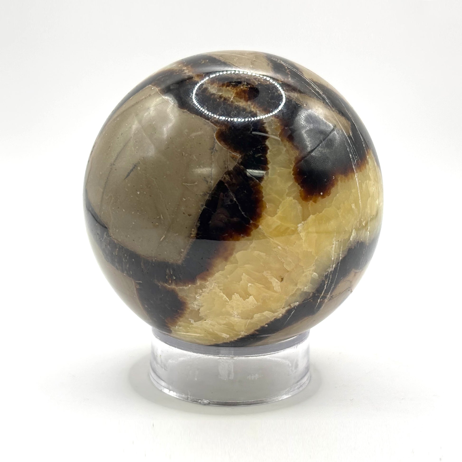 Natural polished Septarian sphere - Gem Avenue Retail
