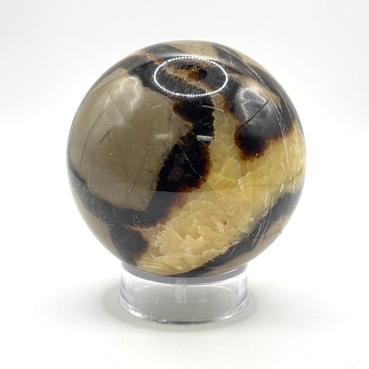Natural polished Septarian sphere - Gem Avenue Retail