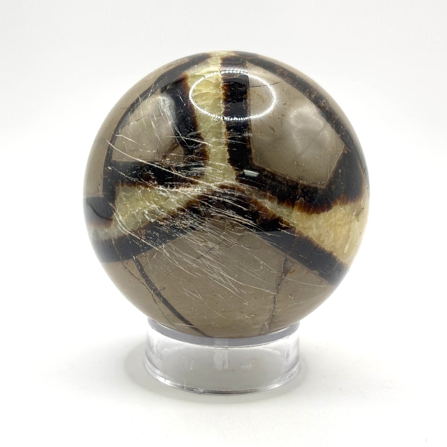 Natural polished Septarian sphere - Gem Avenue Retail