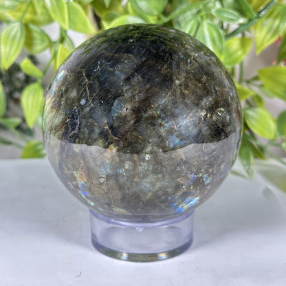 Polished Labradorite Sphere - Gem Avenue Retail