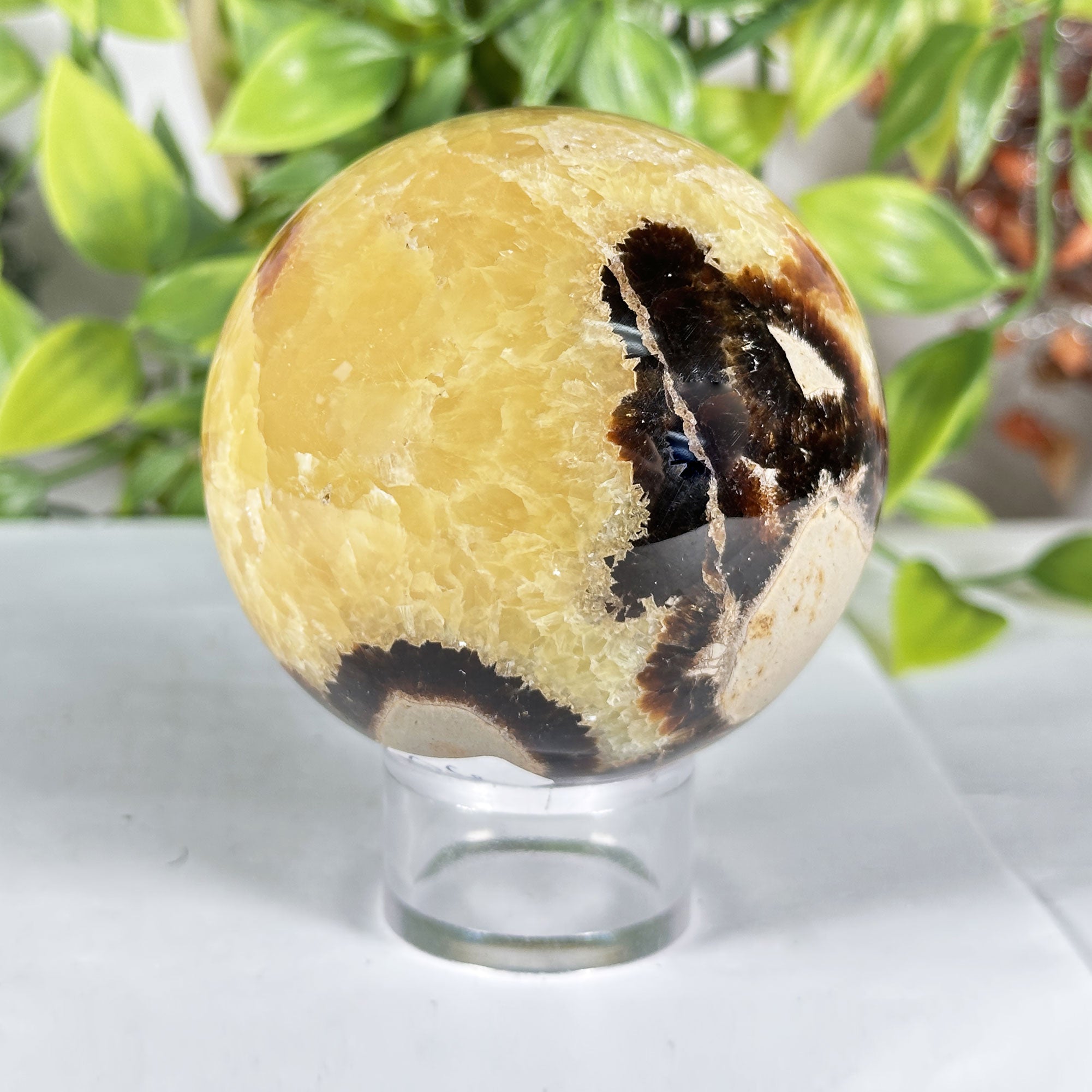 天然水晶の原石 Dragon Septarian Stone Ball Crystal Sphere Quartz